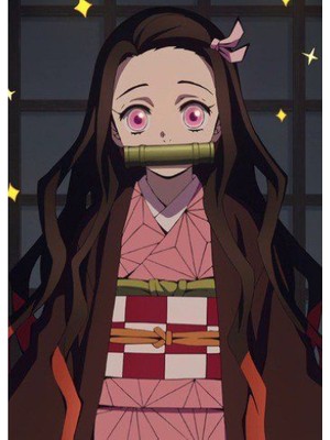 Populus Kimetsu No Yaiba Kamado Nezuko Kimono