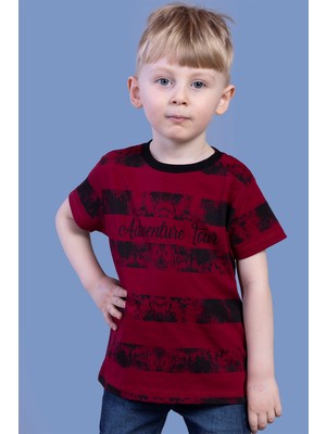 Toontoy Kids Toontoy Erkek Çocuk Çizgi Desenli Tişört