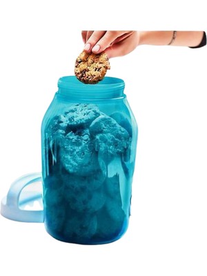 Tupperware Çok Amaçlı Kavanoz Saklma 4.5 Litre 2ADET