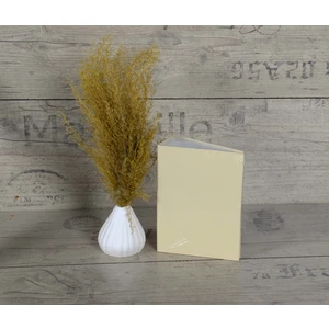 Stüdyo Mustafa Fotoğraf Albümü Ciltbezi 100'lü 10 x 15 cm