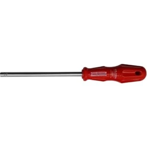 Ceta Form Ceta 1305M Torex Lokma Uçlu Tornavida 5*125