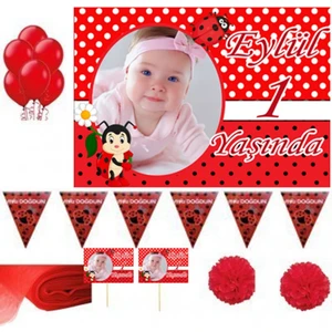 Hayaller Dükkanı Uğur Böceki Konseptli 1 Yas  Doğum Günü Süsleri, Parti Seti, Magnet Konuşma Balonu HDTS222