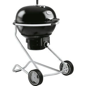 F60 Air Kömürlü Barbekü