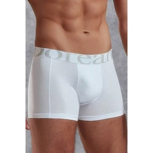 Erkek Modal Torbalı Normal Paça Boxer 1777