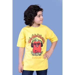 Toontoy Erkek Çocuk  Baskılı Tişört