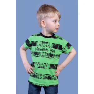 Toontoy Erkek Çocuk Çizgi Desenli Tişört