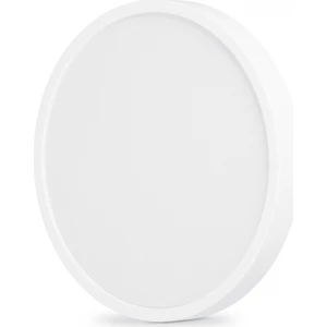 24W Sıva Üstü Yuvarlak LED Panel (Günışığı)
