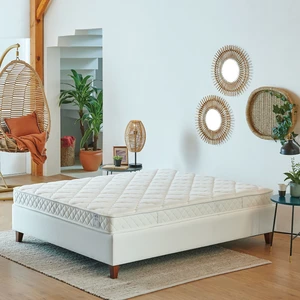 Ergoflex Yaylı Yatak 100 x 200 cm