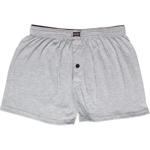 Erkek Penye Gri Battal Büyük Beden Boxer / Külot 6 Adet  Abani Classic