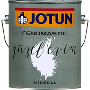 Pebblestone 1877 Fenomastic Güzel Evim Mineral 1 Lt