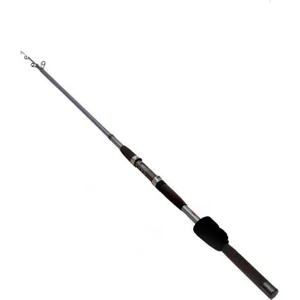 Sea Horse Carbon Gri 3,60MT Kamış
