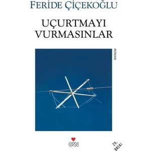 Uçurtmayı Vurmasınlar - Feride Çiçekoğlu
