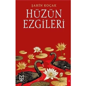 Hüzün Ezgileri - Şahin Koçak