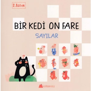 Bir Kedi On Fare - Sayılar - Duygu Yardımcı