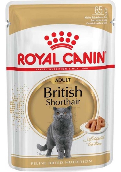 British Shorthair Yetişkin Pouch Kedi Konservesi 85 gr modelleri
