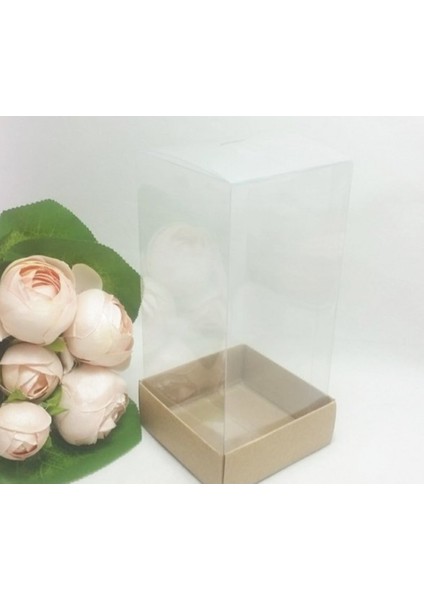 7X7X16 Asetat Kutu Altı Karton 25 Li