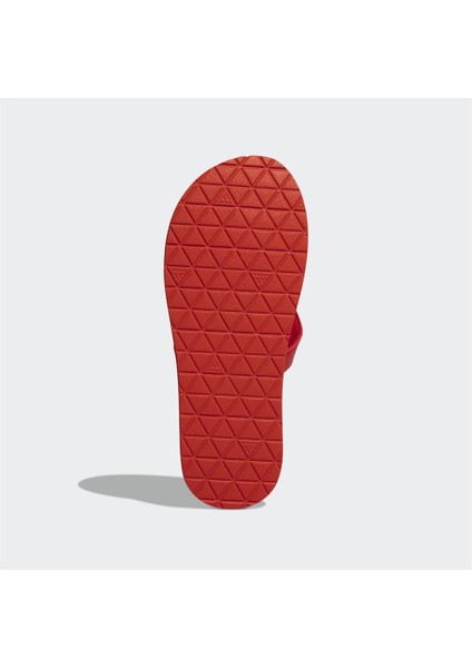 Eezay Flip-Flops Erkek Terlik FY8052