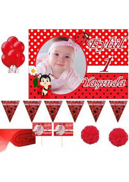 Uğur Böceki Konseptli 1 Yas Doğum Günü Süsleri, Parti Seti, Magnet Konuşma Balonu HDTS222