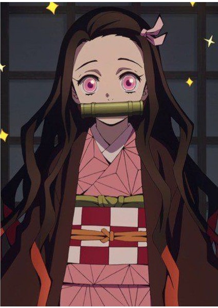 Kimetsu No Yaiba Kamado Nezuko Kimono