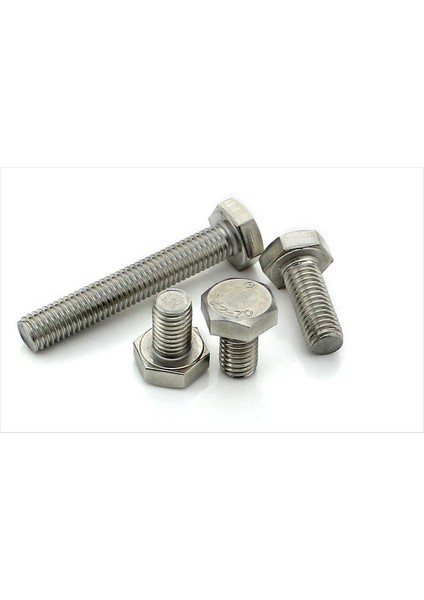M12X110 Inox Paslanmaz Civata