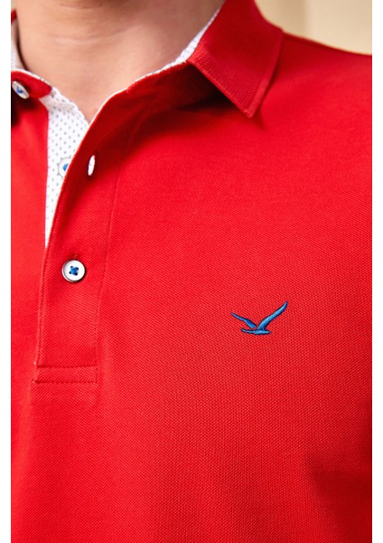 Barbados Erkek Polo - Kırmızı fırsatları