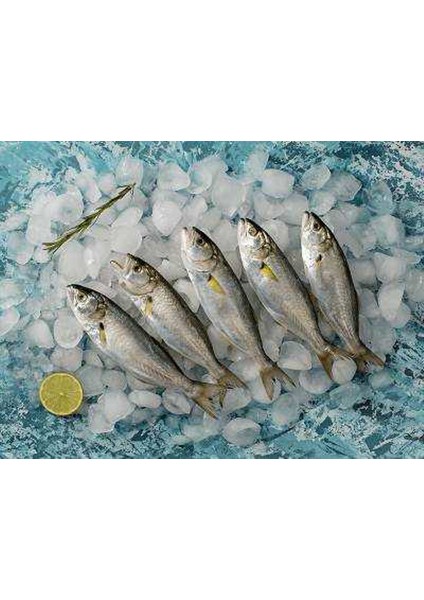 Balık Cınekop 1 kg