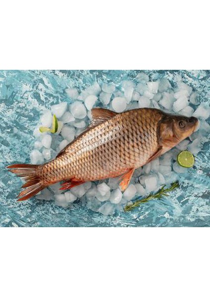 Balık Sazan Orta 1 kg