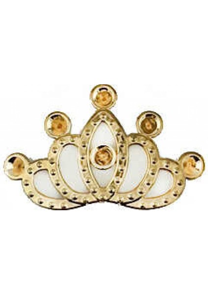 Taç Plastik Yeni Model Altın Pk:50