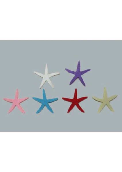 Keçeden Deniz Yıldızı Pembe P50