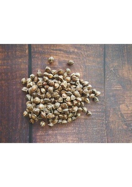 Ithal Moringa Oleifera Tohumu 10 Adet ( Çimlenme Garantilidir ) fiyatları