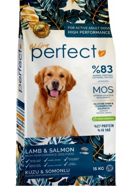 Perfect Yetişkin (27/16) Somon-Kuzu Etli Köpek