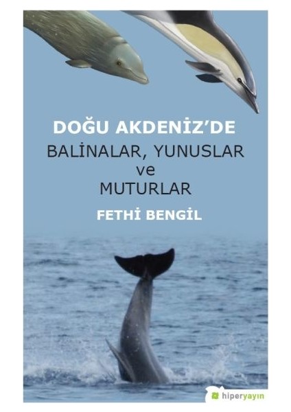 Doğu Akdeniz’de Balinalar, Yunuslar ve Muturlar - Fethi Bengil