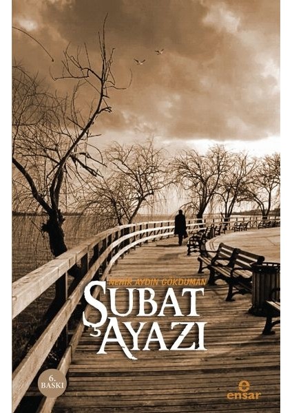 Şubat Ayazı - Nehir Aydın Gökduman