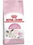 Babycat 34 Yavru Kuru Kedi Maması 2 kg 5