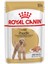 Royal Canin Poodle Yetişkin Köpek Konservesi 85 gr 1