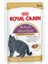 British Shorthair Yetişkin Pouch Kedi Konservesi 85 gr 2