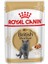 British Shorthair Yetişkin Pouch Kedi Konservesi 85 gr 3
