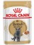 British Shorthair Yetişkin Pouch Kedi Konservesi 85 gr 5