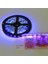 Uv 395 Mor Esnek LED Şerit Işık Smd 2835 Diyot 1 M 60 LED Dc 12 V 1A 2