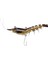Flash Shrimp 75MM 5,5gr DD05 1
