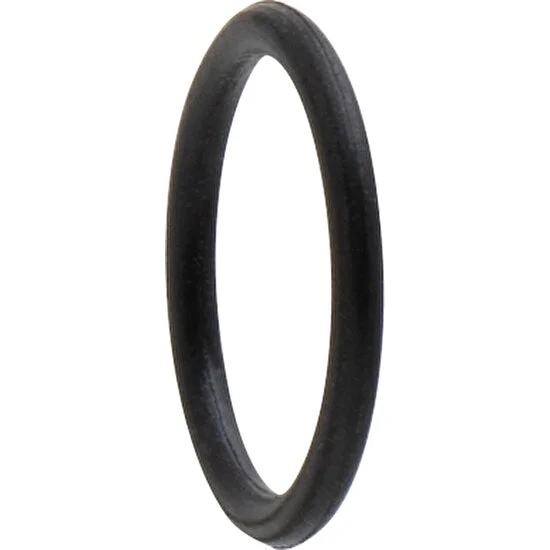 Iwata Joint/handle O-Ring (Airbrush Sapı Için O-Ring)