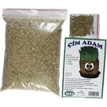 Pinokyo  Çim Adam Yapım Seti