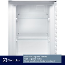 Electrolux KNT2LF18S Coldsense Low Frost Buzdolabı