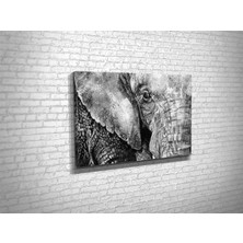 Tablo 360 Fil Çizimi Kanvas Tablo