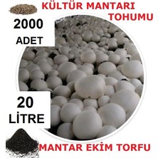 Tarımsal ve Hayvansal Ürünler 20 Litre Ekim Torfu ve 2000 Adet Kültür Mantarı Tohumu