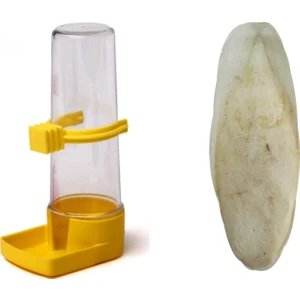 Muhabbet Kuş Suluğu + Kalamar Kemiği