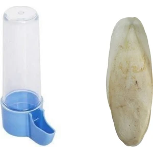 Kanarya Muhabbet Suluk Dikey 100 ml 1 Adet + Kalamar Kemiği