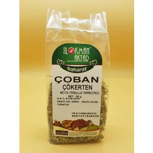 Lokman Aktar Çoban Çökerten 50 gr