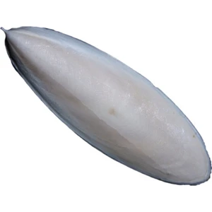 Kalamar Kemiği Mürekkep Balığı Kemiği 10-12 cm