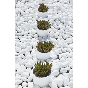 Beyaz Dolomit Taşı 10 kg 2-4 cm Bahçe Taşı Dekoratif Taş Dere Taşı Dolomite Doğal Taş Beyaz Süs Taşları